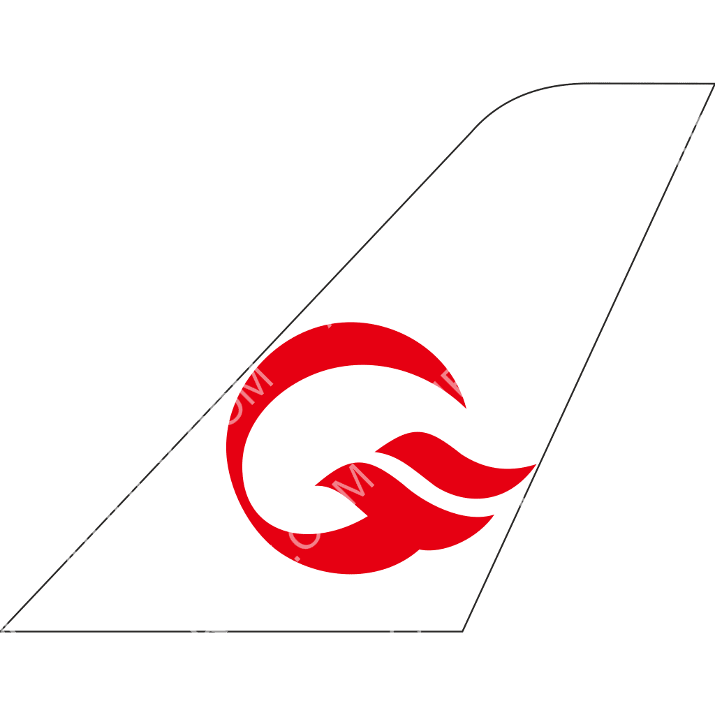 OTT Airlines tail logo