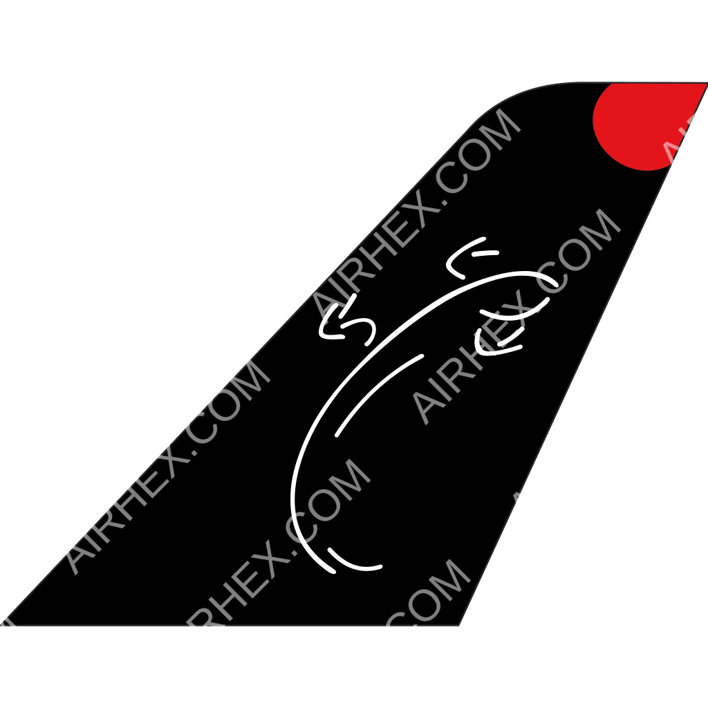 SkyTaxi tail logo